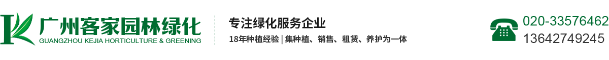 濱州金馬機械有限公司